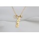Glorria 925k Sterling Silver Personalized Silver Name Necklace with Birhtstone Glorria 925k Sterling Silver Personalized Silver Name Necklace with Birhtstone