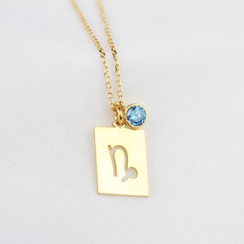 Glorria 925k Sterling Silver Personalized Capricorn Sterling Silver Necklace with Birth Stone