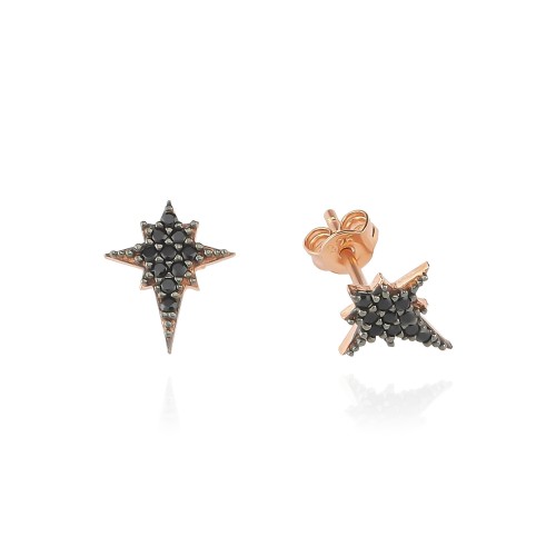 Glorria 925k Sterling Silver Polar Star Earring Glorria 925k Sterling Silver Polar Star Earring
