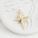 Glorria 14k Solid Gold North Star Pendant