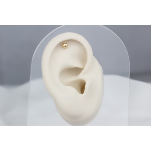 Glorria 14k Solid Gold Ball Helix Piercing Glorria 14k Solid Gold Ball Helix Piercing