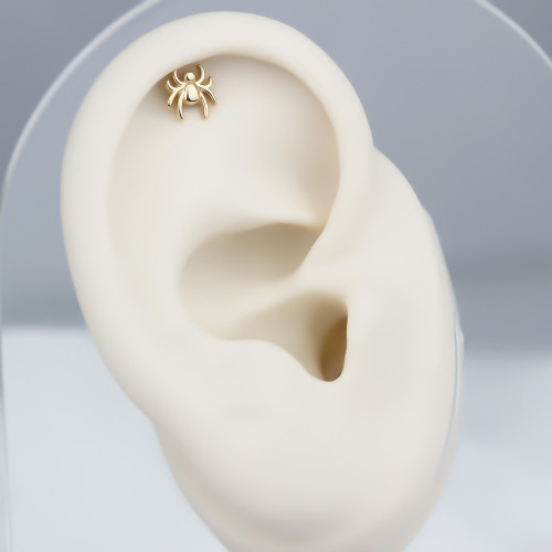 Glorria 14k Solid Gold Spider Helix Piercing Glorria 14k Solid Gold Spider Helix Piercing