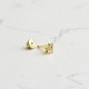 Glorria 14k Solid Gold Star Helix Piercing