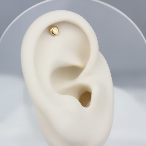 Glorria 14k Solid Gold Oyster Helix Piercing