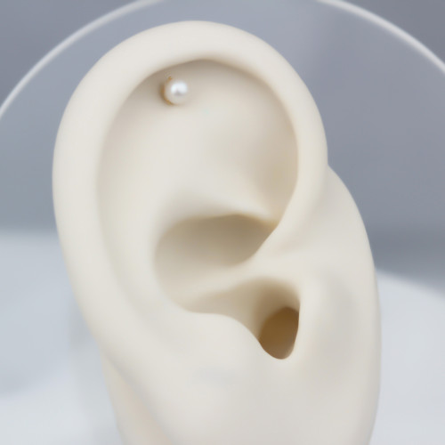 Glorria 14k Solid Gold Pearl Helix Piercing Glorria 14k Solid Gold Pearl Helix Piercing