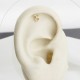 Glorria 14k Solid Gold Taurus Helix Piercing Glorria 14k Solid Gold Taurus Helix Piercing