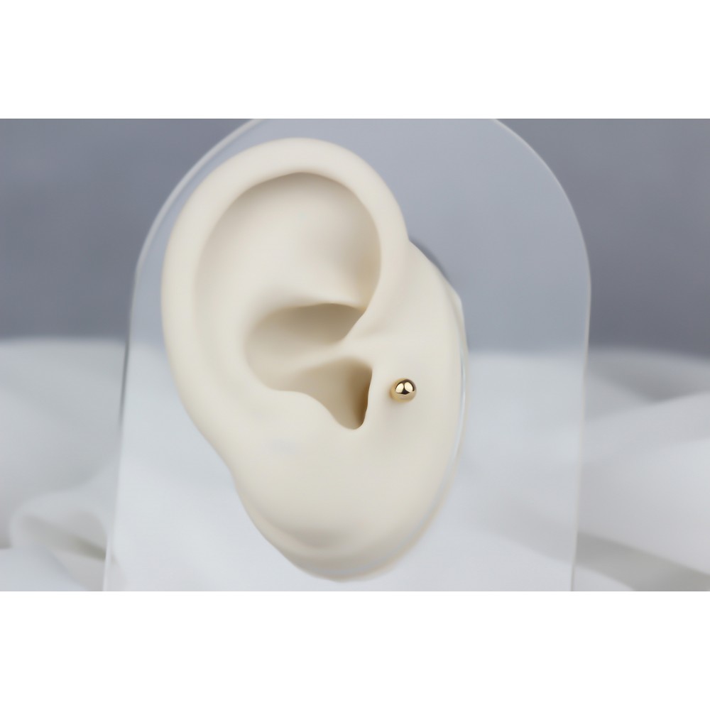 Glorria 14k Solid Gold Ball Tragus Piercing Glorria 14k Solid Gold Ball Tragus Piercing