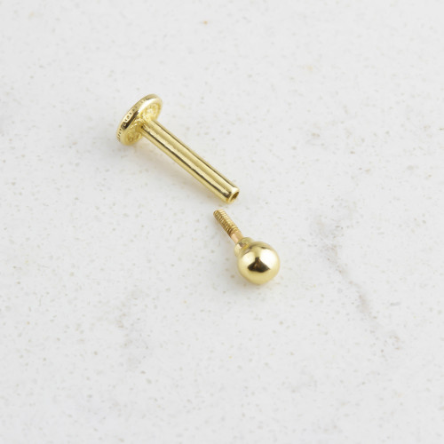 Glorria 14k Solid Gold Ball Tragus Piercing Glorria 14k Solid Gold Ball Tragus Piercing