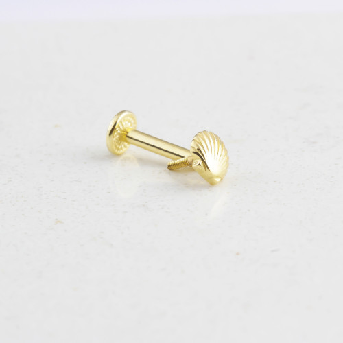 Glorria 14k Solid Gold Shell Tragus Piercing Glorria 14k Solid Gold Shell Tragus Piercing