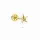 Glorria 14k Solid Gold Starfish Tragus Piercing