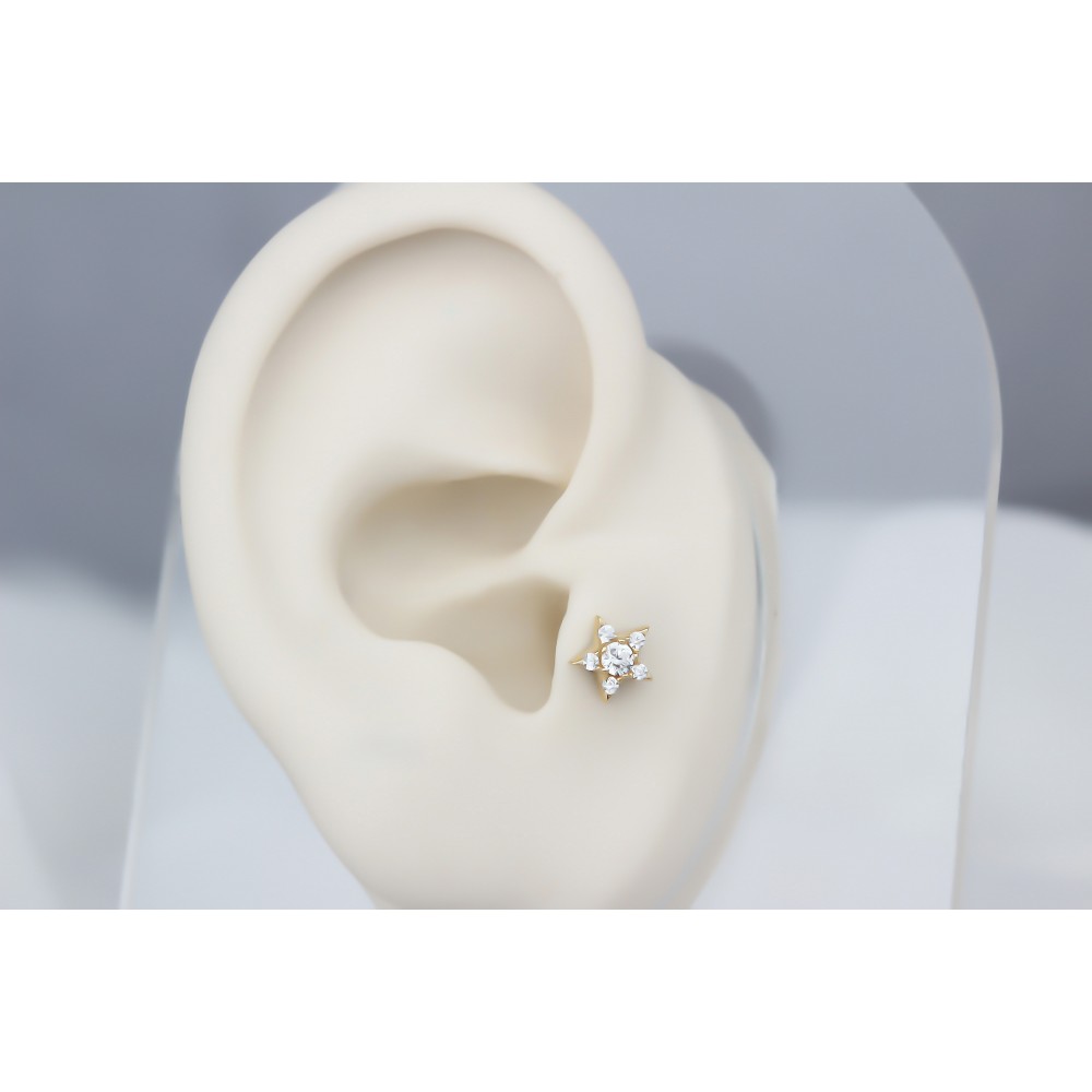 Glorria 14k Solid Gold Star Tragus Piercing