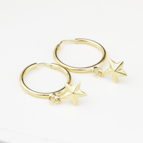 Glorria 14k Solid Gold Star Drop Earrings Glorria 14k Solid Gold Star Drop Earrings