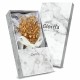 Glorria 925k Sterling Silver Moon and Star Necklace, Earrings, Flower Gift Set Glorria 925k Sterling Silver Moon and Star Necklace, Earrings, Flower Gift Set